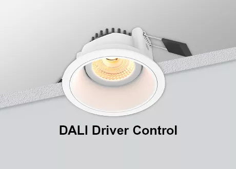 Adjustable Downlight DALI