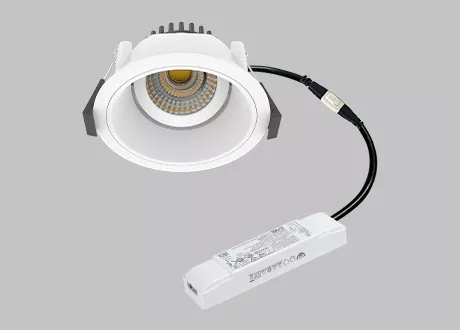dali downlight dali-2 dimmable driver