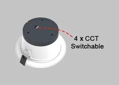 downlight 4CCT switchable