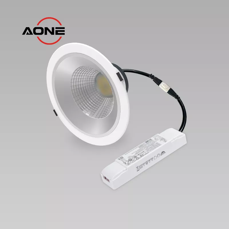 Anti Glare UGR < 19 Big Downlight DALI Dimming IP54 SMD Dia230mm DL46