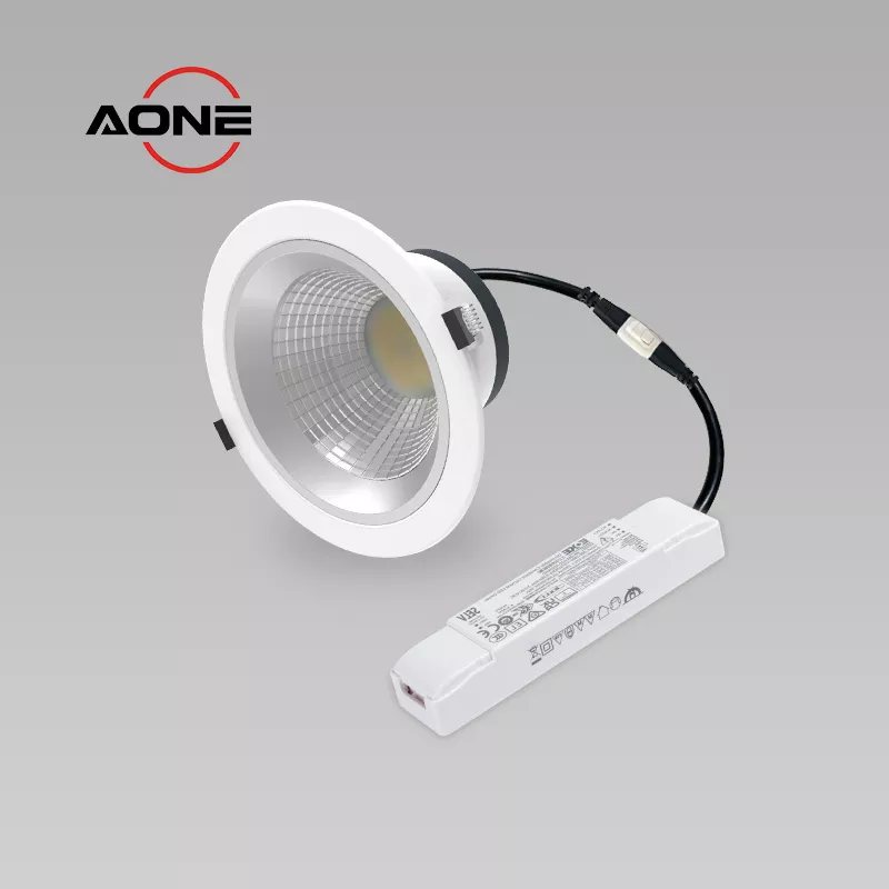 Anti Glare UGR < 19 Big Downlight DALI Dimming IP54 SMD Dia182mm DL46