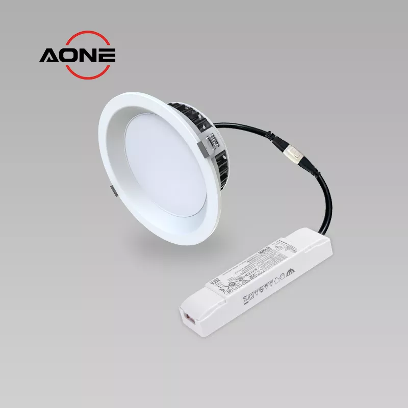 Recessed Downlight Big LED Module with Wide Beam Distribution 4 Changeable Trims 6-8-10-11 inch with DT6/DT8 DALI Driver DL199-1 DALI