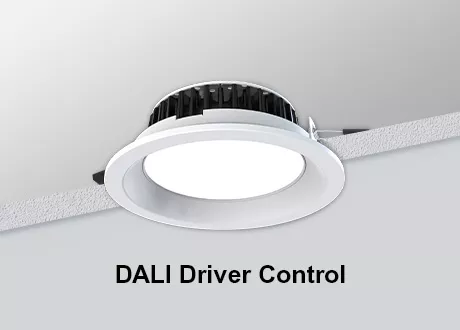 DALI RECESSED Downlight