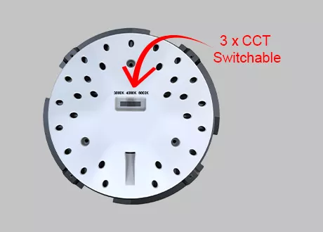downlight 4CCT switchable