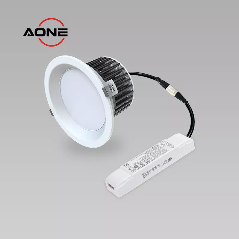 Recessed Downlight Big LED Module with Wide Beam Distribution 4 Changeable Trims 6-8-10-11 inch with DT6/DT8 DALI Driver DL199-2 DALI