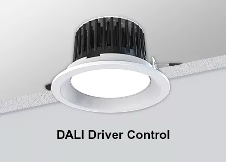 DALI RECESSED Downlight